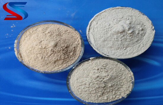 �X�\������|���X���ۏS��